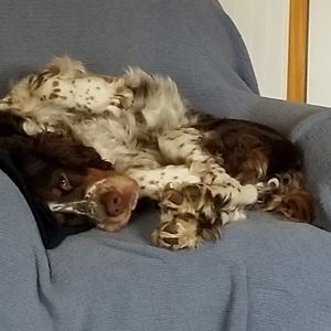 Meet your Posher, Jeffrey